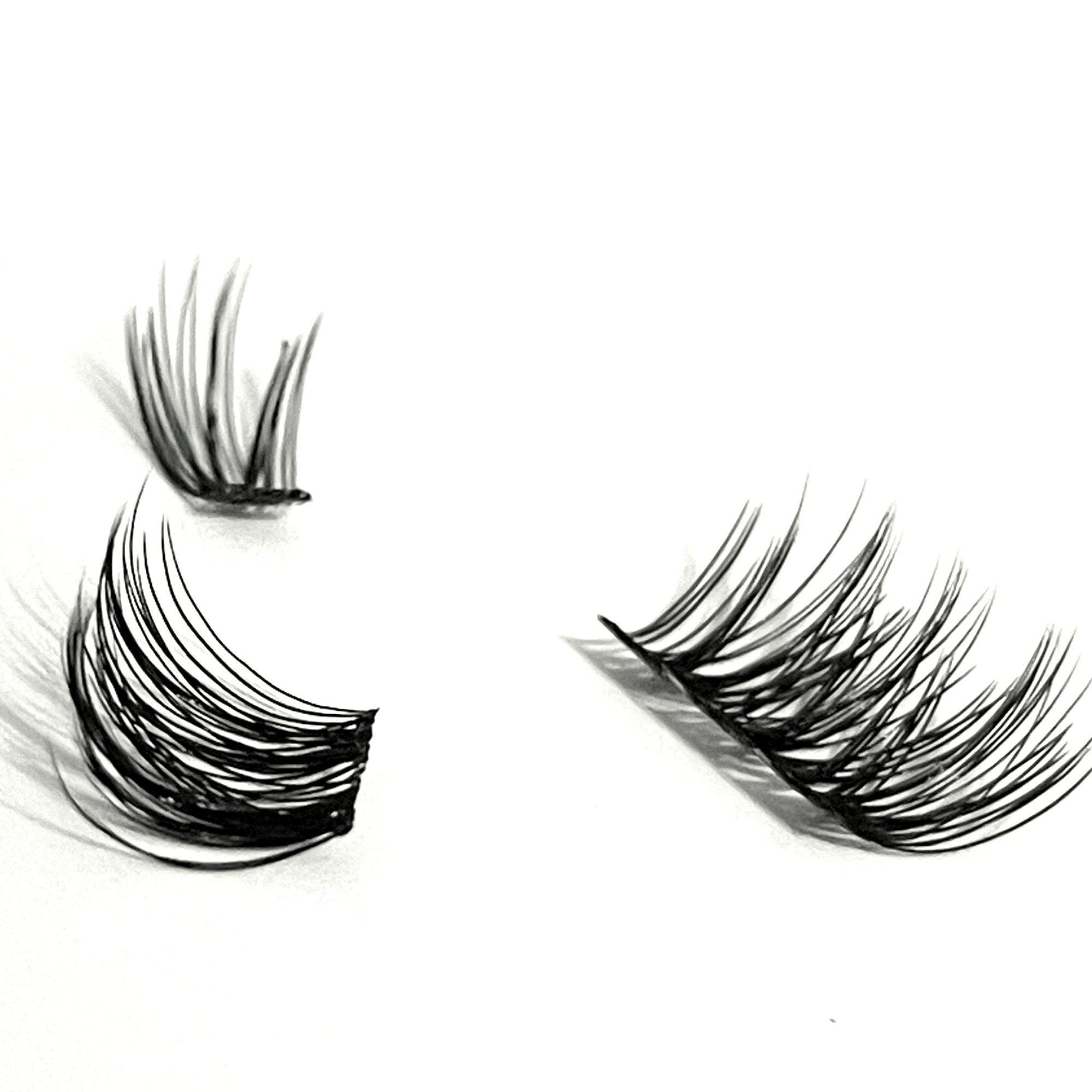HERR Highness Lash - Herr Beauty Co.